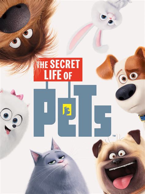 The Secret Life of Pets (2016) .